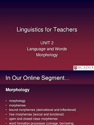 Lexical morphemes are those that having meaning by themselves (moreaccurately, they have sense). Meeting 3 Language And Words Morphology Linguistics Part Of Speech