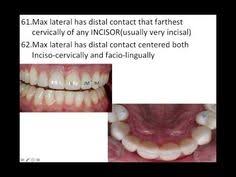 Dental Decks Part  Textbooks  Education   eBay CE Webinar