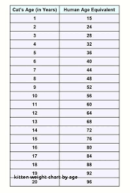 Cat Age And Weight Chart All About Foto Cute Cat Mretmlle Com