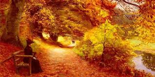 Image result for autumn photos