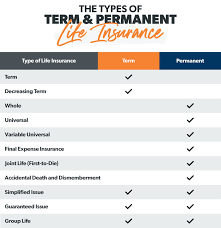 Joint Level Term Life Insurance gambar png