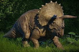 triceratops hd wallpapers pxfuel