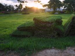 Avoid walking on new sod until you need to mow it for the first time. How To Replace Your Old Lawn With New Sod