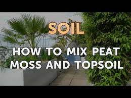 how to mix peat moss and topsoil you