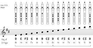 Note Guide For Tin Whistle In 2019 Tin Whistle Recorder