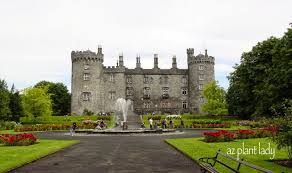 kilkenny castle a rose garden garden