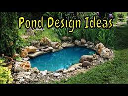 Pond Design Ideas