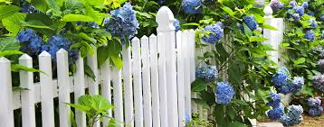 Fences For Front Gardens