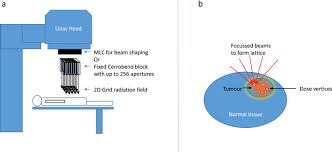 a brief overview of the preclinical and