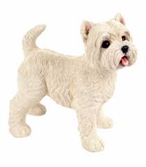 Standing West Highland Terrier Dogs
