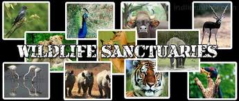 Image result for Wildlife Sanctuaries