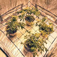 Grow Tent Netting Plant Elastic Garden