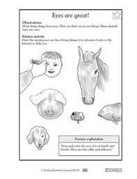 Our free body parts worksheets are great additional resources for you, perfect for revision. Eyes Are Great 1st Grade 2nd Grade Kindergarten Science Worksheet Greatschools