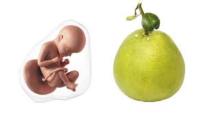 29 Weeks Pregnant Symptoms Tips Baby Development