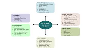 crispr cas systems molecular biology