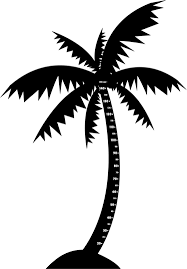 Kids Palm Tree Height Chart Sticker