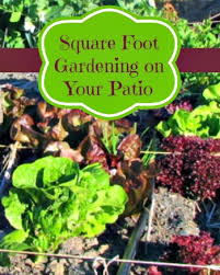 Square Foot Gardening On Your Patio Or