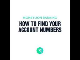 601 likes · 1 talking about this · 86 were here. How To Find Your Account Number Moneylion Banking Youtube
