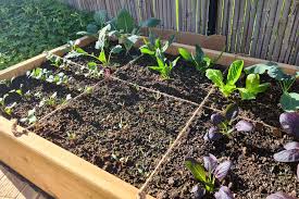 Square Foot Gardening Tips And Tricks