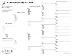 Family Tree Fan Chart Template Free Family Tree Chart Printable