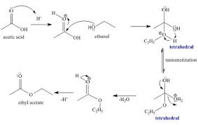 11 consider the acid catalyzed fischer