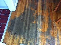 What Is Best Hardwood Floor Finish For