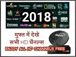 How To Watch All Hd Channels Free In Dish Tv 2018 Trick Must Watch