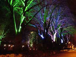 what is outdoor led tree uplighting