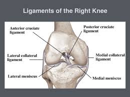 Sometimes, it becomes extremely difficult to lift your leg. How Is A Pcl Injury Different From An Acl Injury Get Back To Sport