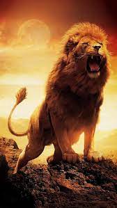 lion king roaring hd phone wallpaper