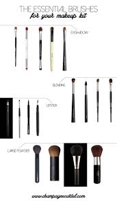 essential makeup brushes your go to