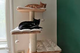 the 11 best cat trees of 2024 tested
