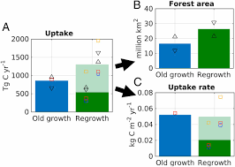 Deciduous and evergreen are two opposite types of trees. Role Of Forest Regrowth In Global Carbon Sink Dynamics Pnas