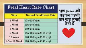 fetal heart rate chart