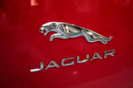 jaguar car logo stock photos royalty