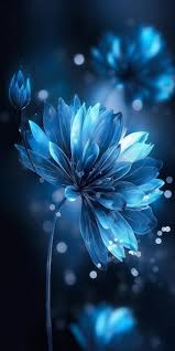 blue flowers wallpapers for iphone