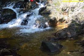 Spot ini menjadi lokasi favorit para pengunjung yang. Hutan Rekreasi Sungai Tekala Apa Yang Menarik Xplorasi Destinasi