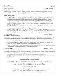 Basic Business Resume Templates       Free Word  PDF Documents      A professional resume template for a General Manager and Business Analyst   Want it  Download