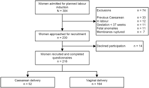 Recruitment Flow Chart For A Prospective Study In Women