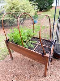 How to Keep Squirrels Out of Raised Garden Beds - In My Own Style
