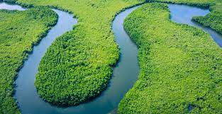 Organizaciones ambientales de Brasil piden al Senado de EU aprobar norma que crearía un fondo para proteger el Amazonas