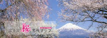 富士宮市観光協会 » 富士山と桜の撮影スポット 富士宮桜名所マップ