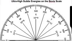 74 Comprehensive Bovis Scale