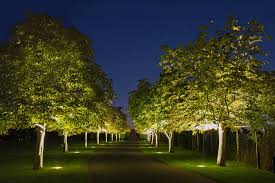 How To Choose Garden Path Lights