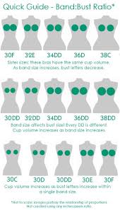Visual Breast Scale Bra Sizing Chart Wiring Schematic