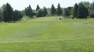 Batavia, New York Golf Guide