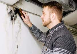 How To Get Rid Of Mold In The Basement