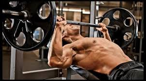 Free Bodybuilding Workout Routines
