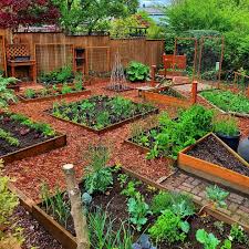 garden trellis ideas for your outdoor e
