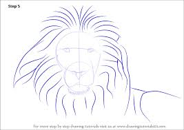 how to draw a lion s face big cats